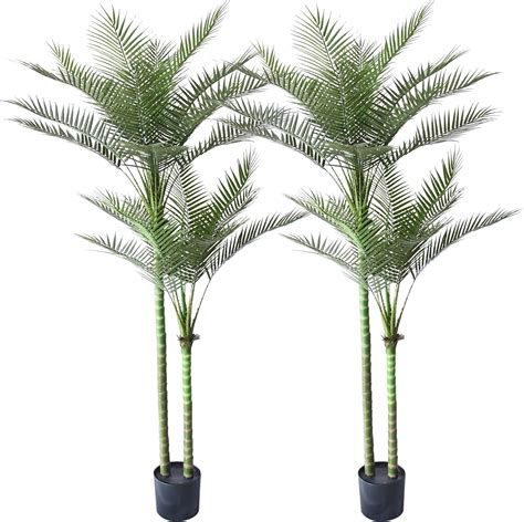 Amazon Canada Artificial Palm Trees