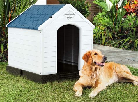 amazon casa para perro