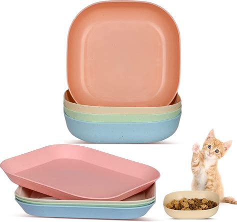 Amazon Cat Dish