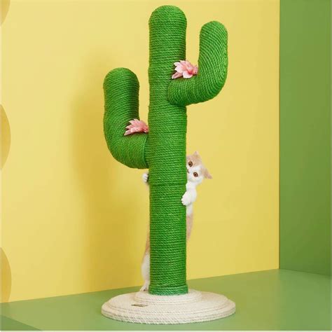 Amazon Cat Scratching Post Cactus