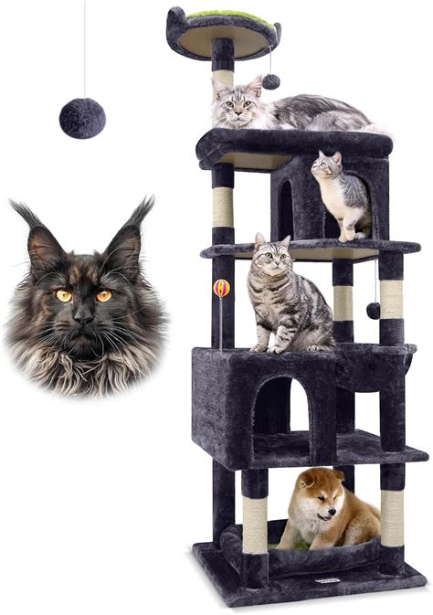 Amazon Cat Tree Promo Code