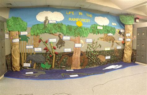 Amazon Classroom Displays