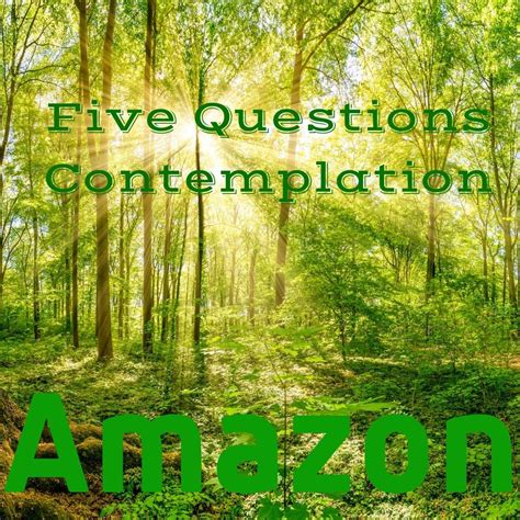 amazon contemplation