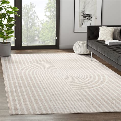 Amazon Contemporary Rugs