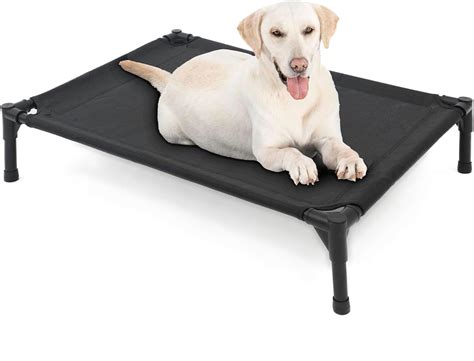 Amazon Cots For Dogs