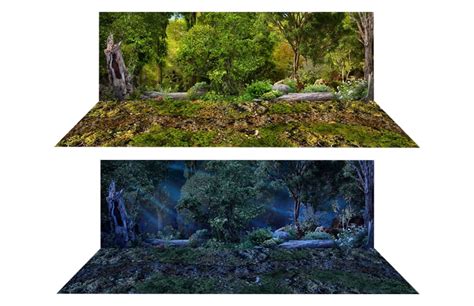 Amazon Diorama Background Printables