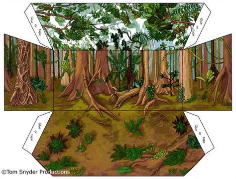 Amazon Diorama Backround Printables