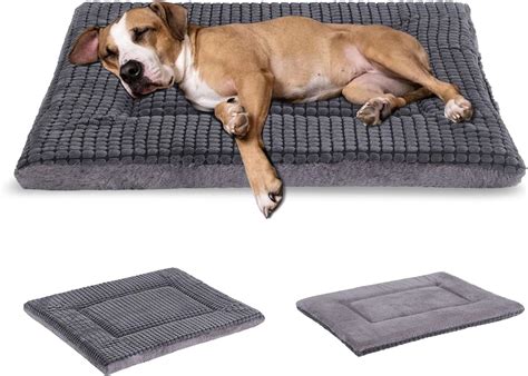 Amazon Dog Bed Cushion