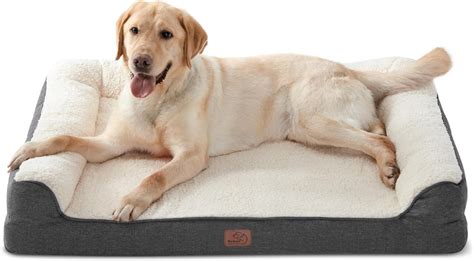 Amazon Dog Bed Memory Foam