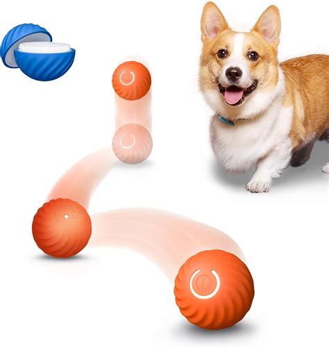 Amazon Dog Learning Toys