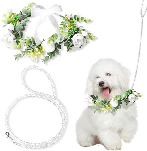 Amazon Dog Wedding Collar