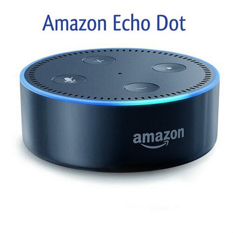 amazon echo dot support number