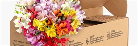 Amazon Flowers Review