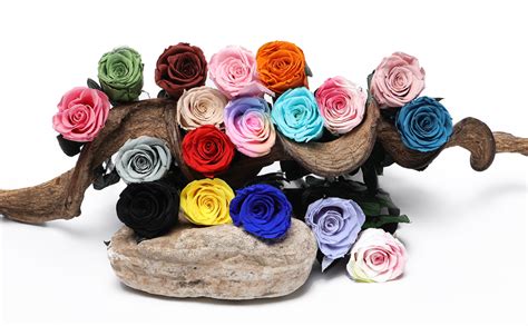 Amazon Flowers Valentines