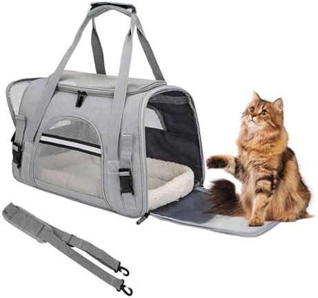 Amazon Folding Cat Carrier