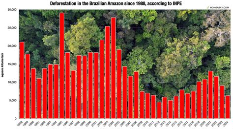 Amazon Forest And Climate Change