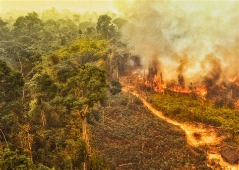 Amazon Forest Fire Climate Change