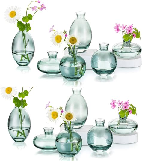 Amazon Glass Vases Small