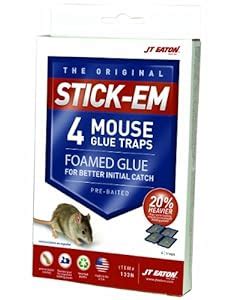 amazon glue mouse traps