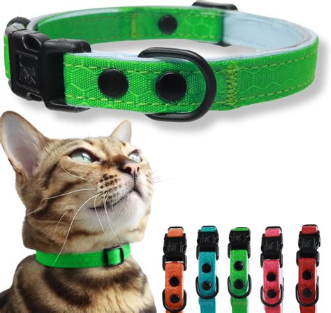 Amazon Green Cat Collar
