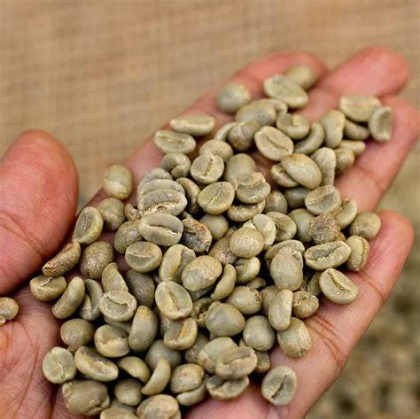 amazon green coffee beans
