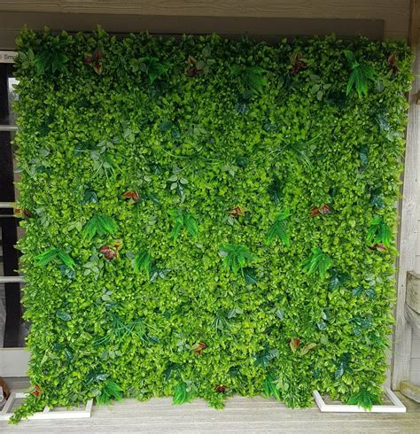 Amazon Greenery Wall