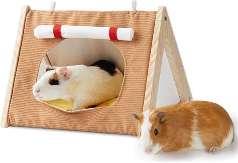Amazon Guinea Pig Hideaway