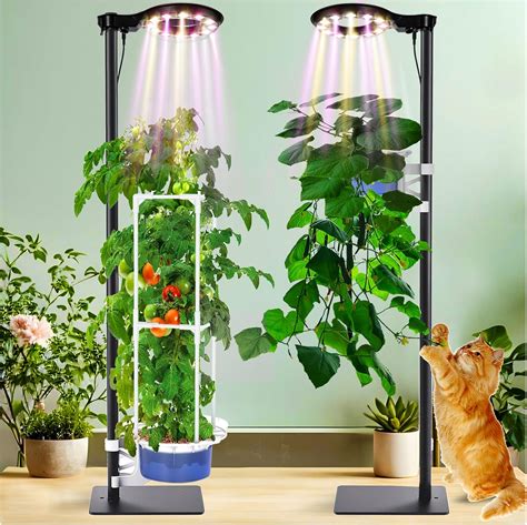 Amazon Indoor Garden