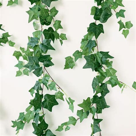 Amazon Ivy Vines