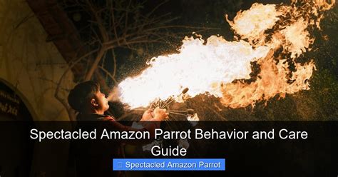 Amazon Parrot Behavior Guide