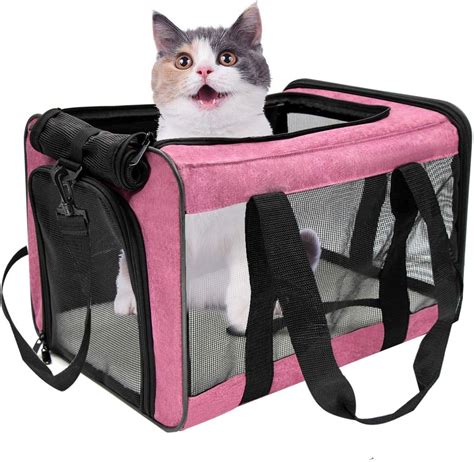amazon pet carrier for cats