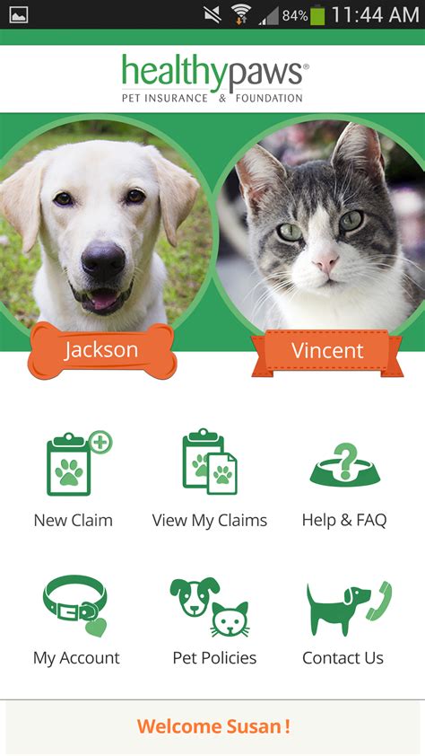 Amazon Pet Insurance