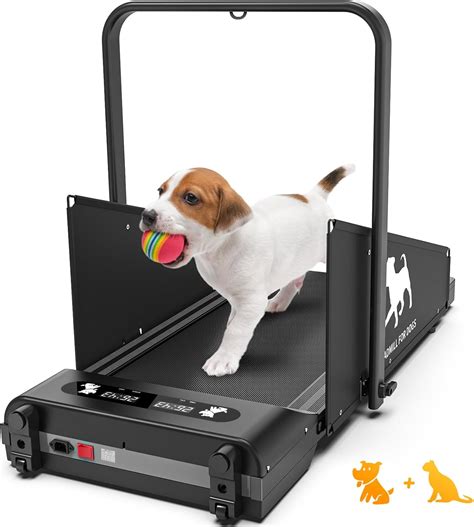 Amazon Pet Treadmill