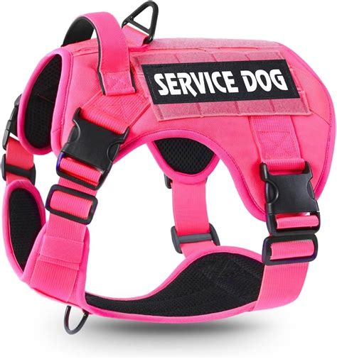Amazon Pet Vest