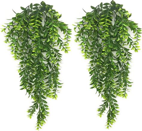 Amazon Plastic Vines