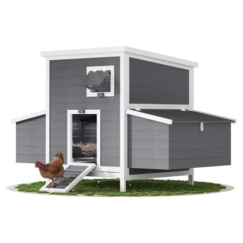 Amazon Prime Chicken Coops