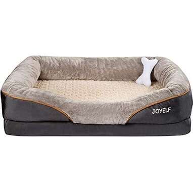 Amazon Prime Dog Beds