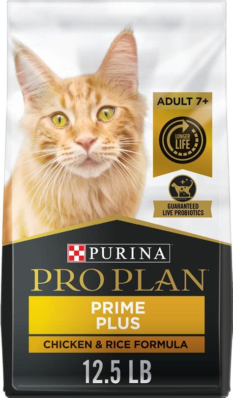 amazon prime dry cat food delivery today