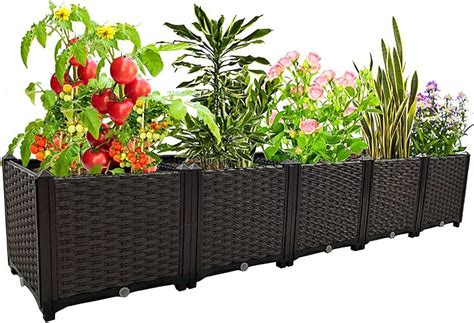 Amazon Prime Large Planters