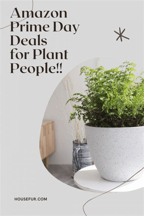 Amazon Prime Plants
