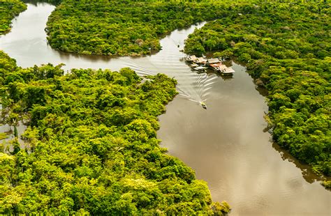 amazon rainforest experience