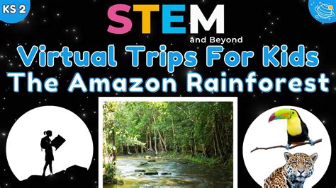 Amazon Rainforest Field Trip