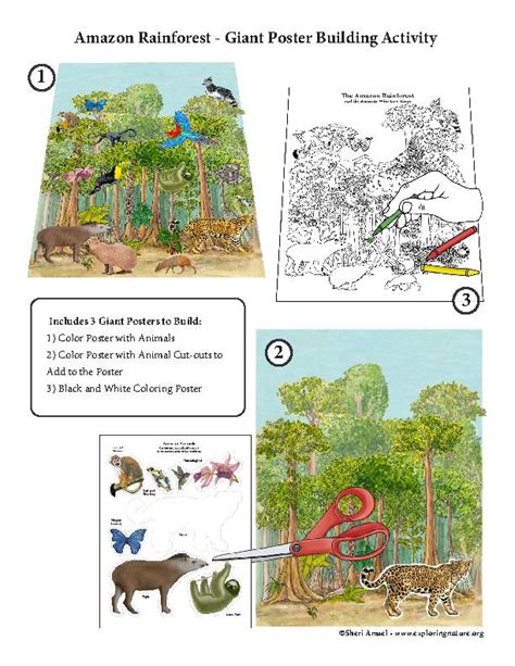 Amazon Rainforest Poster Project