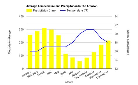 Amazon Rainforest Weather Report