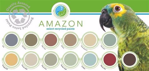 Amazon Recycled Paint