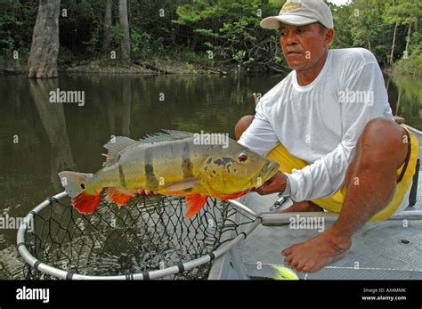 amazon river fishing