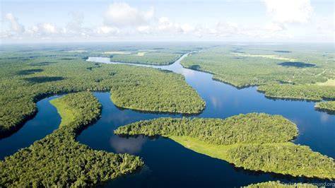 Amazon River Wallpapers Wallpaper Cave