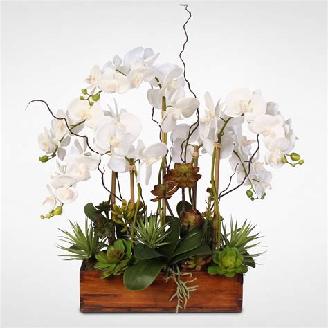 Amazon Silk Orchids