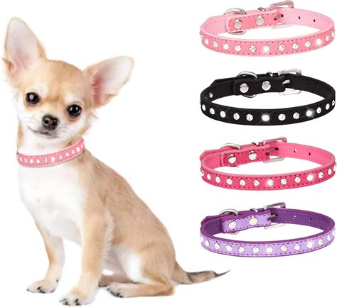 Amazon Small Dog Collars