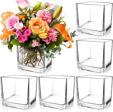 Amazon Square Vases